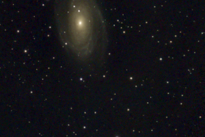 M81