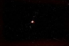 Orion Nebula