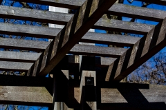 Ault_WoodShadows