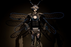 Cincinnati Art Museum - Burning Man