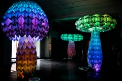Cincinnati Art Museum - Burning Man