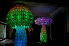 Cincinnati Art Museum - Burning Man