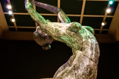 Cincinnati Art Museum - Burning Man
