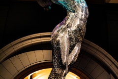 Cincinnati Art Museum - Burning Man Exhibition