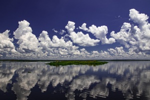 Paynes Prairie