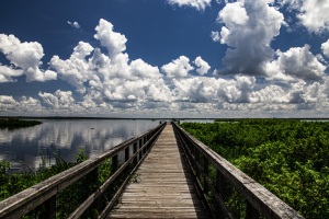 Paynes Prairie